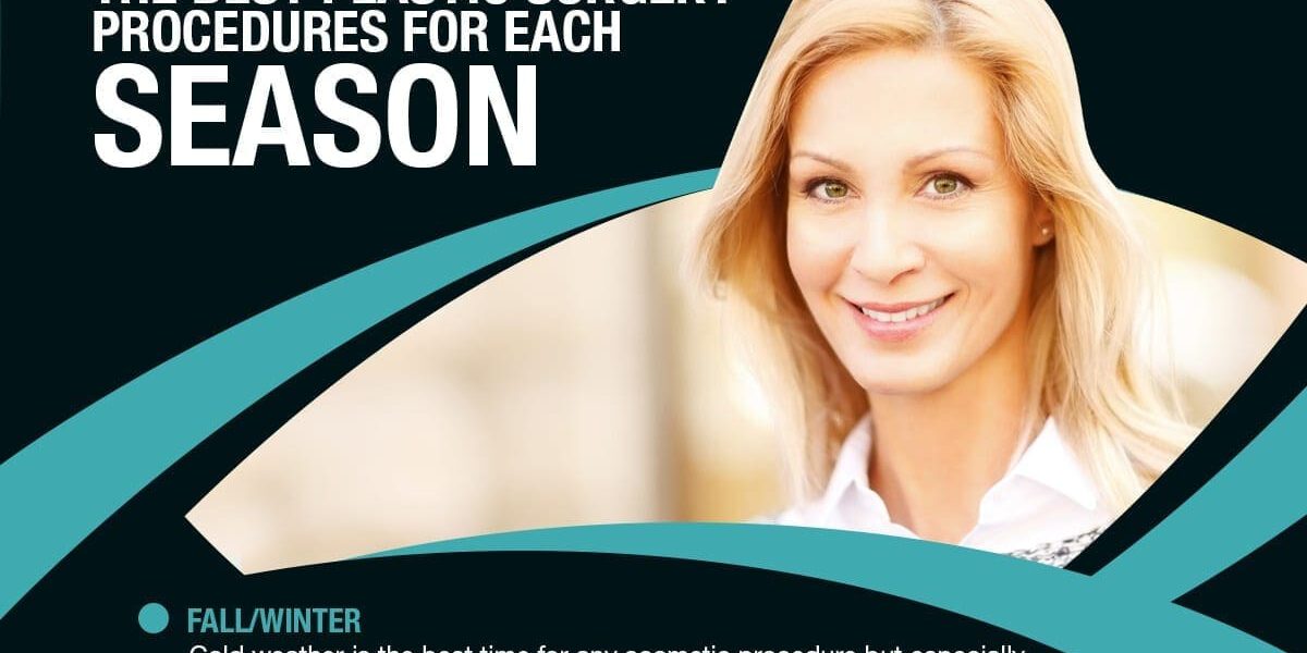 The Best Plastic Procedures For Each Season [Infographic]